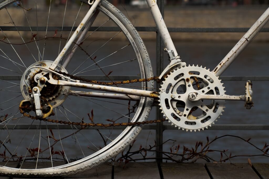 Revenue Cycle Management for Practices: A Complete Guide to Boosting Revenue and Reducing Denials